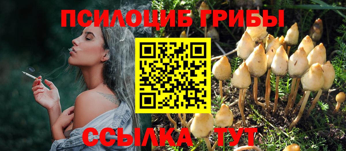 Псилоцибиновые грибы прущие грибы Приморско-Ахтарск