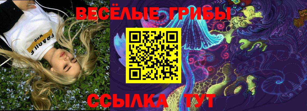 Галлюциногенные грибы ЛСД  Вход с VPN  Приморско-Ахтарск 